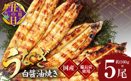 【土用の丑の日までにお届け】国産 うなぎ白醤油焼き5尾 せいろ蒸し備長炭仕上げ 先行予約