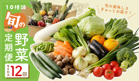 10種類の新鮮野菜 定期便 全12回 詰め合わせ 国産 冷蔵発送 年間[毎月配送コース]
