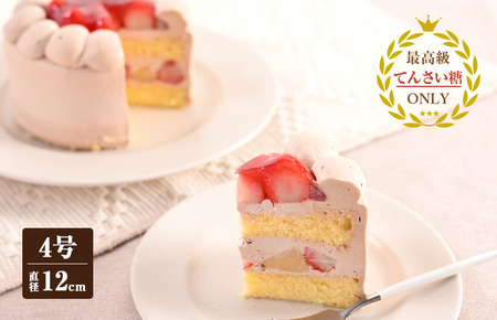 生チョコデコレーション (冷凍ケーキ) 12cm×1台[洋菓子 スイーツ おやつ てんさい糖 冷凍ケーキ]