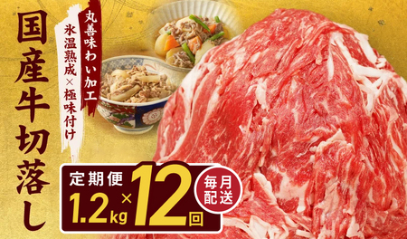【定期便】国産 牛肉 切り落とし 定期便 1.2kg×全12回 総量 14.4kg【国産 牛肉 氷温熟成×極味付け 訳あり サイズ不揃い カレー 牛丼 野菜炒め 肉じゃが 家計応援 毎月配送コース】