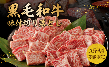 [特別寄附金額]黒毛和牛A5/A4等級 切り落とし 味付き 焼肉セット 600g(サーロイン 300g/リブロース 300g) ギフト プレゼント に最適