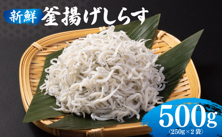 新鮮 釜揚げしらす 合計 500g 小分け 250g×2P