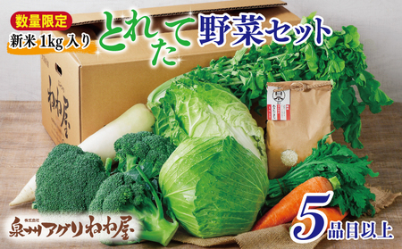 [数量限定][新米1kg入り]ねね屋の採れたて野菜セット 5品目以上 詰め合わせ 期間限定