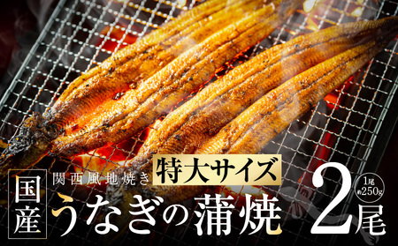【ビッグサイズ】老舗五郎藤 国産 旨鰻 250g×2尾