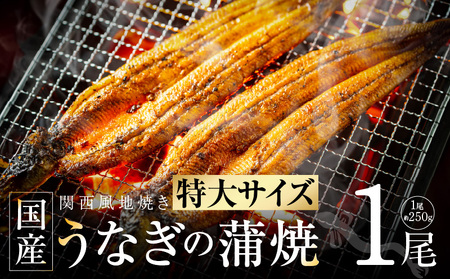 超ビッグサイズ!数量限定!老舗[五郎藤] 関西風地焼き 国産有頭旨鰻 250g×1尾 特大 うなぎ ウナギ 蒲焼き 炭火