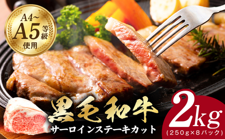 A5/A4N јa T[CXe[L Jbg v2kgi250g×8Pjyɖtz