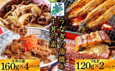 ܘY Y ֐ nĂ L|V 120g×2  јa ̑f 160g×4PyHה lC y k̑蕨 I Ⓚ ʌz