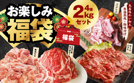 お楽しみ福袋 4種 2kgセット(牛肉 切り落とし/牛ハラミ/豚肉/鶏肉)[氷温熟成×極味付け]