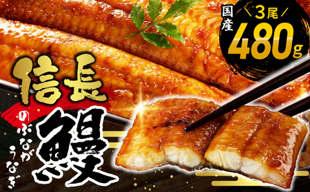 [数量限定]国産 信長鰻 160g×3尾[大サイズ 合計480g 蒲焼き 無頭 うなぎ 鰻 ウナギ ひつまぶし タレ 冷凍]