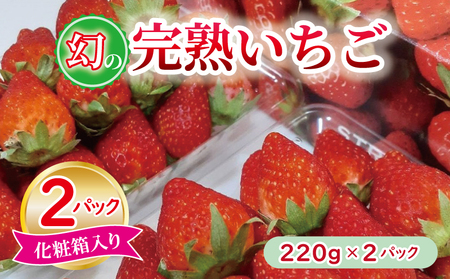 [特別規格]朝摘み完熟いちご 2パック[化粧箱入り 220g×2P 苺 イチゴ フルーツ 果物]