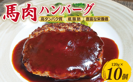 桜文 馬肉ハンバーグ 総量1.2kg(120g×10個) 個包装