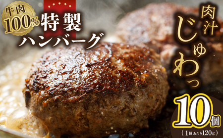 牛肉100% 特製ハンバーグ 120g×10個 個包装