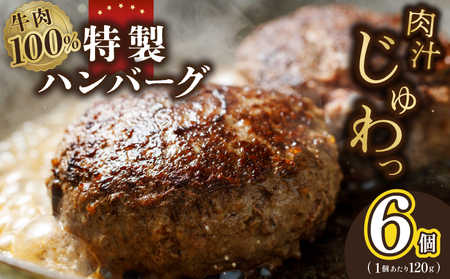 [特別規格]牛肉100% 特製ハンバーグ 120g×6個 個包装 お試し