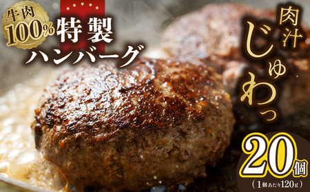 牛肉100％ 特製ハンバーグ 120g×20個 個包装