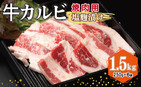 Jr ēp Ђ v1.5kgyt  Ă ȒP BBQ  250g×6܁z