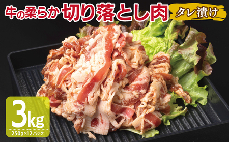  ؂藎Ƃ ^Ђ v3kgyt  Ă ȒP BBQ  250g×12܁z