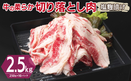  ؂藎Ƃ Ђ v2.5kgyt  Ă ȒP BBQ  250g×10܁z