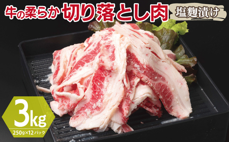  ؂藎Ƃ Ђ v3kgyt  Ă ȒP BBQ  250g×12܁z