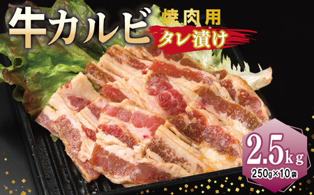 Jr ēp ^Ђ v2.5kgyt  Ă ȒP BBQ  250g×10܁z