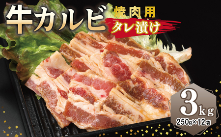 Jr ēp ^Ђ v3kgyt  Ă ȒP BBQ  250g×12܁z