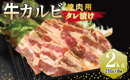 Jr ēp ^Ђ v2kgyt  Ă ȒP BBQ  250g×8܁z