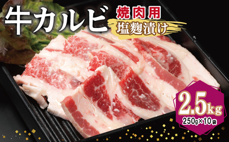 Jr ēp Ђ v2.5kgyt  Ă ȒP BBQ  250g×10܁z