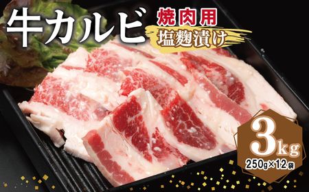 Jr ēp Ђ v3kgyt  Ă ȒP BBQ  250g×12܁z