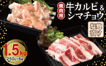 牛カルビ&シマチョウ 塩麹漬け 焼肉セット 合計1.5kg[味付け 小分け 焼くだけ 簡単調理 BBQ 250g×6袋 牛肉 ホルモン]