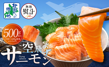 [無地熨斗]アトランティックサーモン 総量 500g以上[フィレ エコパック 訳あり サイズ不揃い 刺身 さーもん 冷凍 北国からの贈り物]