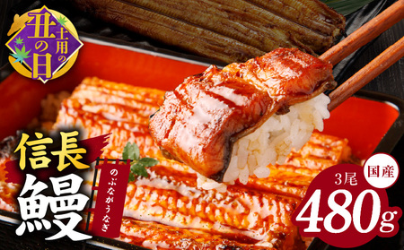 [7/19土用の丑の日][数量限定]国産 信長鰻 160g×3尾[大サイズ 合計480g 蒲焼き 無頭 うなぎ 鰻 ウナギ ひつまぶし タレ 冷凍]
