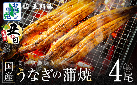 【7/26土用の丑の日】老舗「五郎藤」関西風地焼き 国産有頭旨鰻 計約480g前後