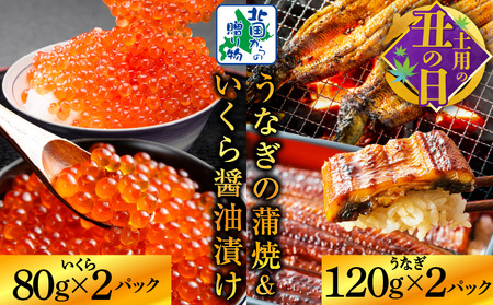 [7/19土用の丑の日]五郎藤 国産 関西風 地焼き有頭旨鰻 120g×2尾&いくら醤油漬け 80g×2パック