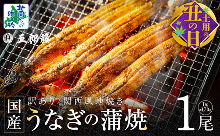 [7/19土用の丑の日]数量限定!!老舗「五郎藤」関西風地焼き 国産有頭旨鰻 170g前後×1尾[訳あり うなぎ ウナギ 蒲焼き 炭火]