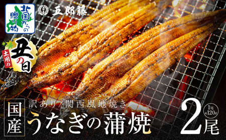 [7/26土用の丑の日]老舗「五郎藤」関西風地焼き 国産有頭旨鰻 計約240g前後