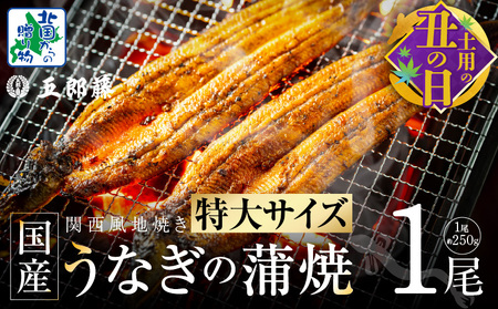 [7/19土用の丑の日]超ビッグサイズ!数量限定!老舗「五郎藤」 関西風地焼き 国産有頭旨鰻 250g×1尾[特大 うなぎ ウナギ 蒲焼き 炭火]