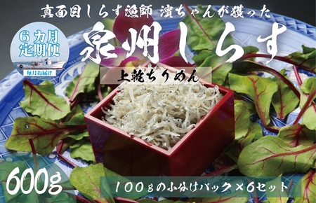 [定期便]泉州しらす (上乾ちりめん)600g×全6回 真面目漁師 濱ちゃんのこだわり