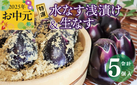 [お中元]特選水なす浅漬け&生なす 5個入り