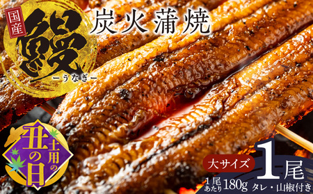 [7/19土用の丑の日]国産うなぎ 大サイズ 180g×1尾 タレ 山椒付き 有頭 炭火 蒲焼