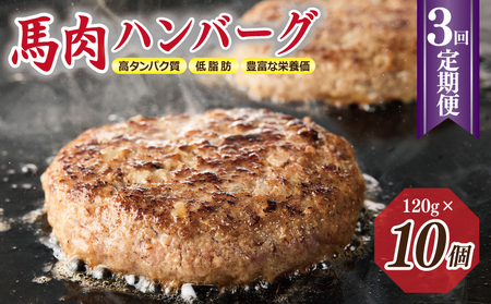 [定期便] 桜文 馬肉ハンバーグ 120g×10個 全3回 [毎月配送コース]