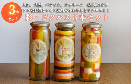 [スピード発送] 彩(いろどり)シリーズ ピクルス 3本セット いずみピクルス NSW