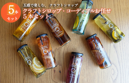 [スピード発送][おまかせ] クラフト飲料シロップ5本セット いずみピクルス NSW