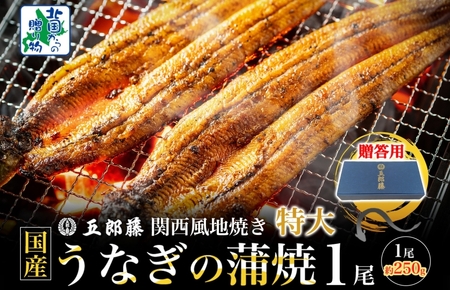 [贈答用]五郎藤 関西風地焼き 国産有頭旨鰻 250g×1尾 計約250g 特大 うなぎ ウナギ 蒲焼き 炭火
