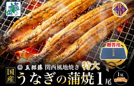 [7/19土用の丑の日]五郎藤 関西風地焼き 国産有頭旨鰻 250g×1尾 計約250g [贈答用 特大 うなぎ ウナギ 蒲焼き 炭火]