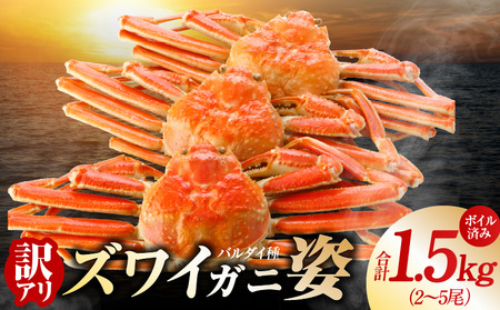 [訳あり規格]バルダイ種 ズワイガニ姿 1.5kg(2〜5尾)[ボイル済み オオズワイガニ かに カニ 蟹 ズワイガニ ファミリー向け]