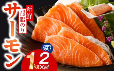 サーモン 定期便 1kg×全2回[ポーション 訳あり サイズ不揃い 刺身 海鮮丼 さーもん サラダ カルパッチョ 鮭 さけ シャケ しゃけ 人気 小分け 冷凍 家計応援]