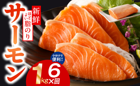 T[  1kg×S6y|[V 󂠂 TCYs hg CN [ T_ Jpb`   VP Ⴏ lC  Ⓚ ƌvz