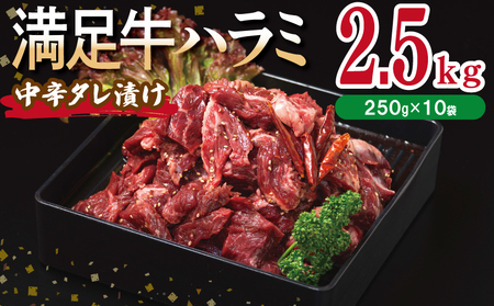 yn~zh^Ђ v2.5kg yt n~  Ă ȒP BBQ  250g×10Pz