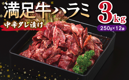 yn~zh^Ђ v3kg yt n~  Ă ȒP BBQ  250g×12Pz