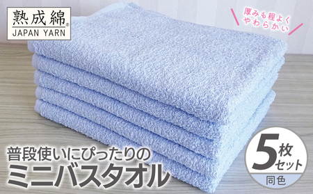 普段使いにぴったりのミニバスタオル 5枚[サックス 泉州タオル 高品質 綿100% 日本製 国産 単色 シンプル]