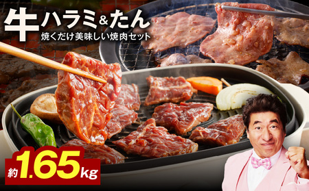 ylC̐Hהׁzn~    1.65kgyn~ ^   ēZbg BBQ 󂠂 TCYsz